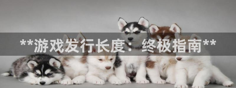 新城平台登录入口