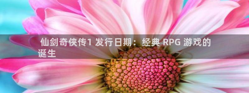 新城平台怎么样