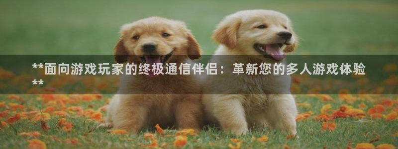 新城平台代理：**面向游戏玩家的终极通信伴侣：革新您的多人游戏体验
**