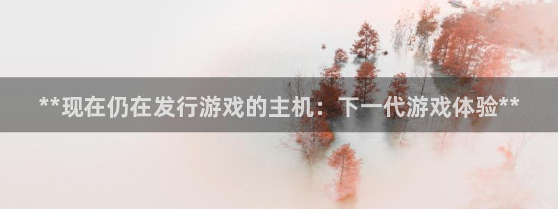 新城平台注册网址：**现在仍在发行游戏的主机：下一代游戏体验**