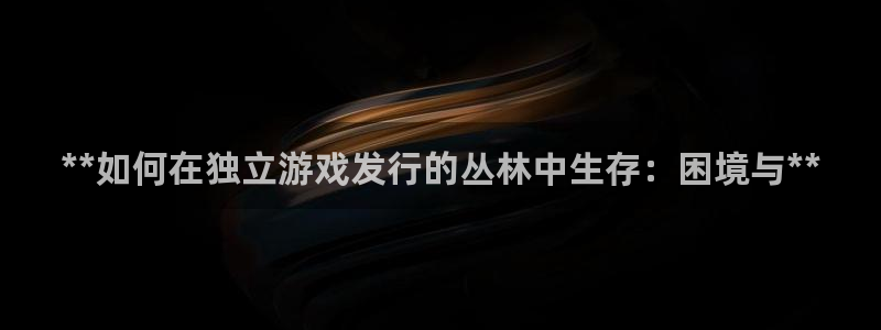 新城平台平台最新活动：**如何在独立游戏发行的丛林中生存：困境与**