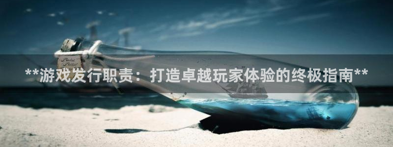 新城平台登录入口官网查询：**游戏发行职责：打造卓越玩家体验的终极指南**