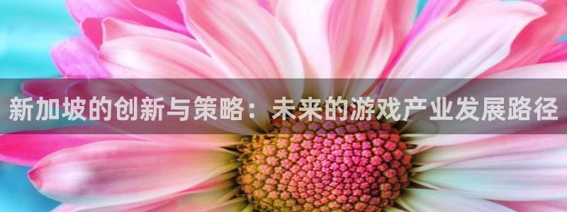 新城平台登录入口官网