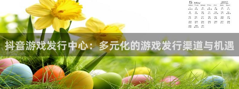 新城平台是干嘛的公司啊