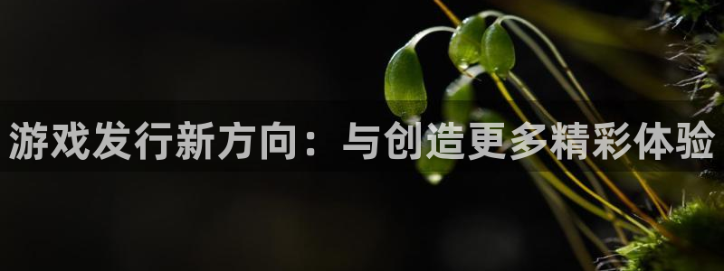 新城平台新注册