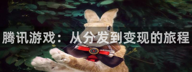 新城平台注册资金多少亿
