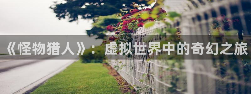 新城平台线路登录不上去怎么回事儿