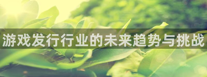 新城平台官网