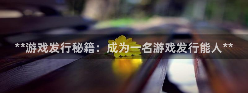 新城平台注册公司流程及费用：**游戏发行秘籍：成为一名游戏发行能人**