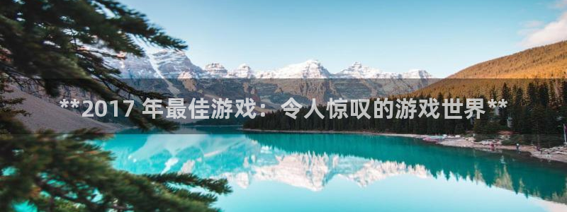 新城平台登录入口官网下载手机版：**2017 年最佳游戏：令人惊叹的游戏世界**