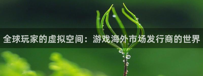 新城平台线路登录不上去怎么回事呀