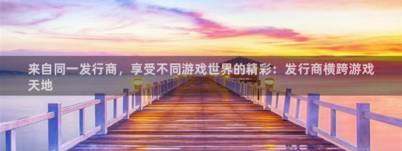 新城平台是干嘛的公司有哪些