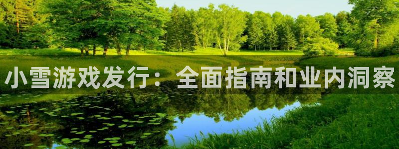 新城平台官网注册：小雪游戏发行：全面指南和业内洞察